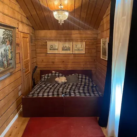 別荘 Log House In サヴォンリンナ
